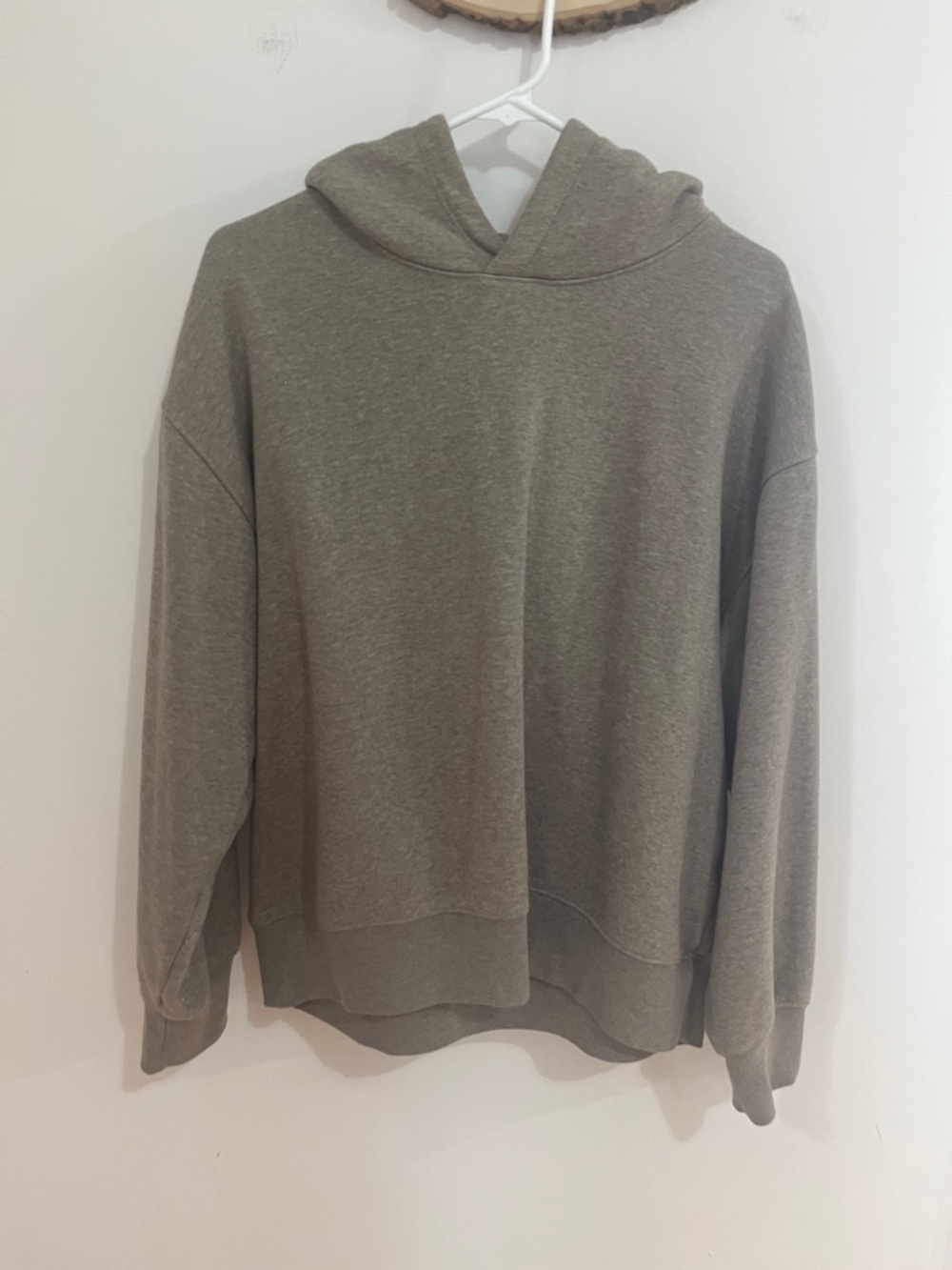 AE Hooded Sweater in Brown